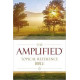 Amplified Topical Reference Bible - Hard Cover