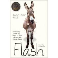 Flash The Homeless Donkey who Taught Me about Life, Faith, and Second Chances - Rachel Anne Ridge