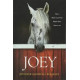 Joey - How a Blind Rescue Horse Helped Others Learn to See - Jennifer Marshall Bleakley