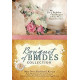 A Bouquet of Brides Collection - For Seven Bachelors this Bouquet of Brides Means a Happily Ever After