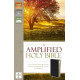 Amplified Topical Reference Bible - Black Bonded Leather