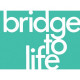 Bridge To Life Tracts - Pack of 10