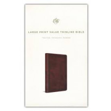 ESV Large Print Value Thinline Bible - Trutone Mahogany Border Design