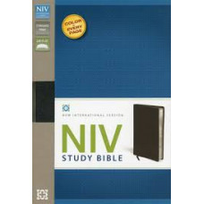 NIV Study Bible - Black Bonded Leather