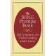 The Bible Promise Book Five Hundred Scriptures for Understanding God's Grace - Barbour (LWD)