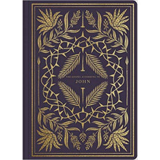 Illuminated Scripture Journal John: English Standard Version - Paperback